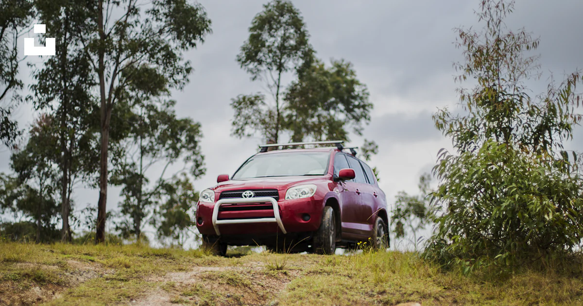 Red Rav Overhead Photo of red RAV 4 SUV on roadway photo – Free Car Image on Unsplash