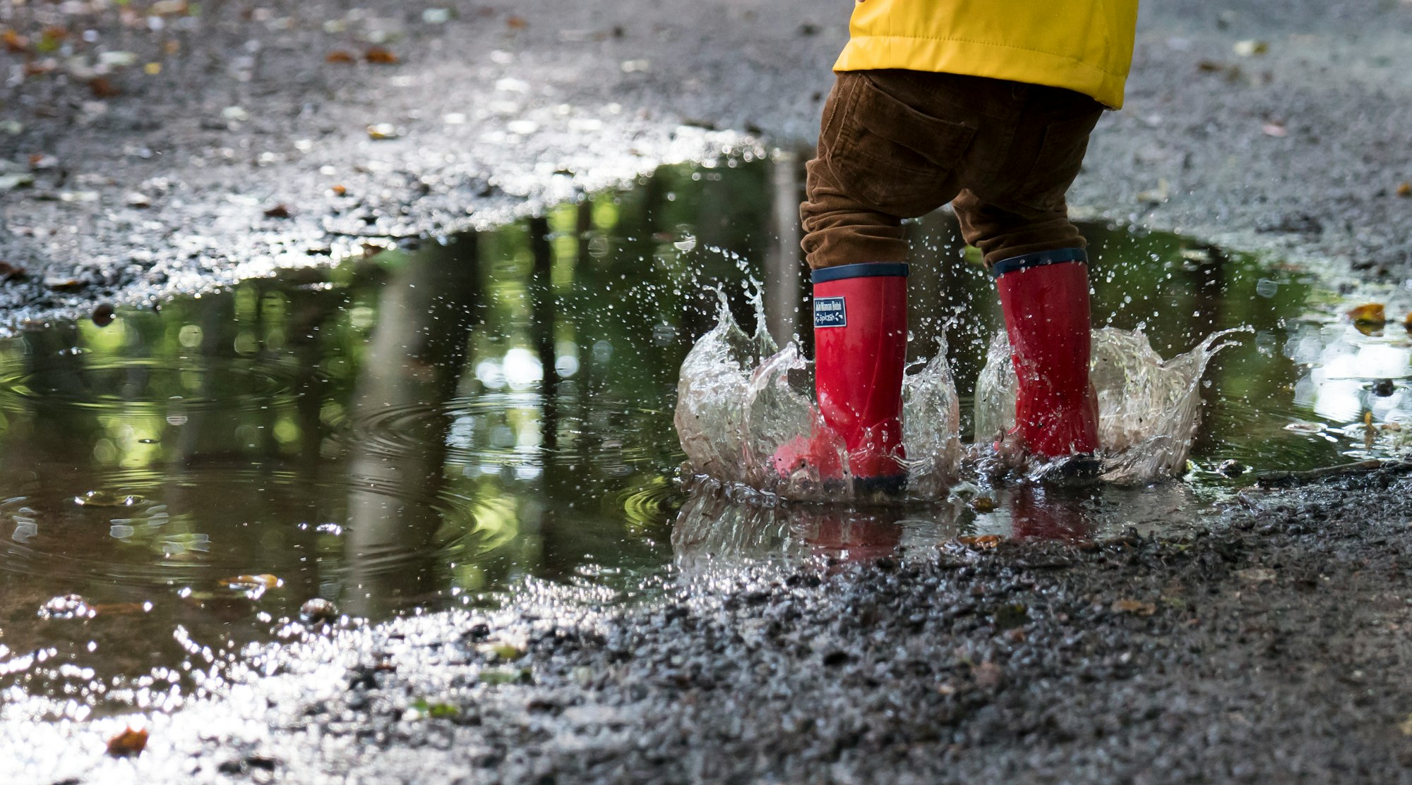 Saturday, Wellies, Lochs and a Vital Spark