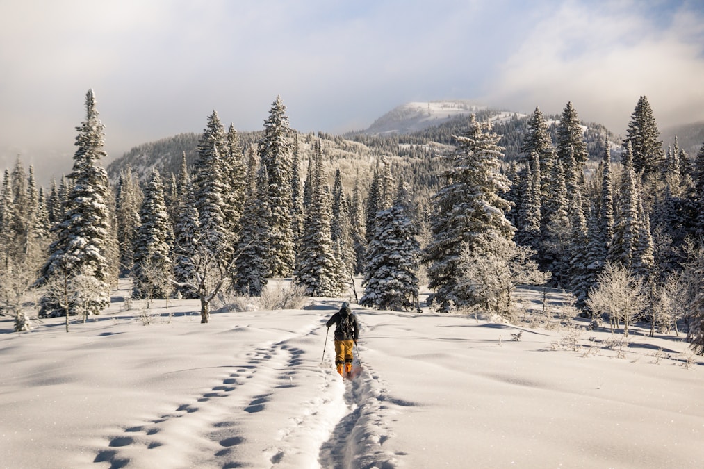 Hiker in a dark jacket walking a snowy trail through a mountain forest