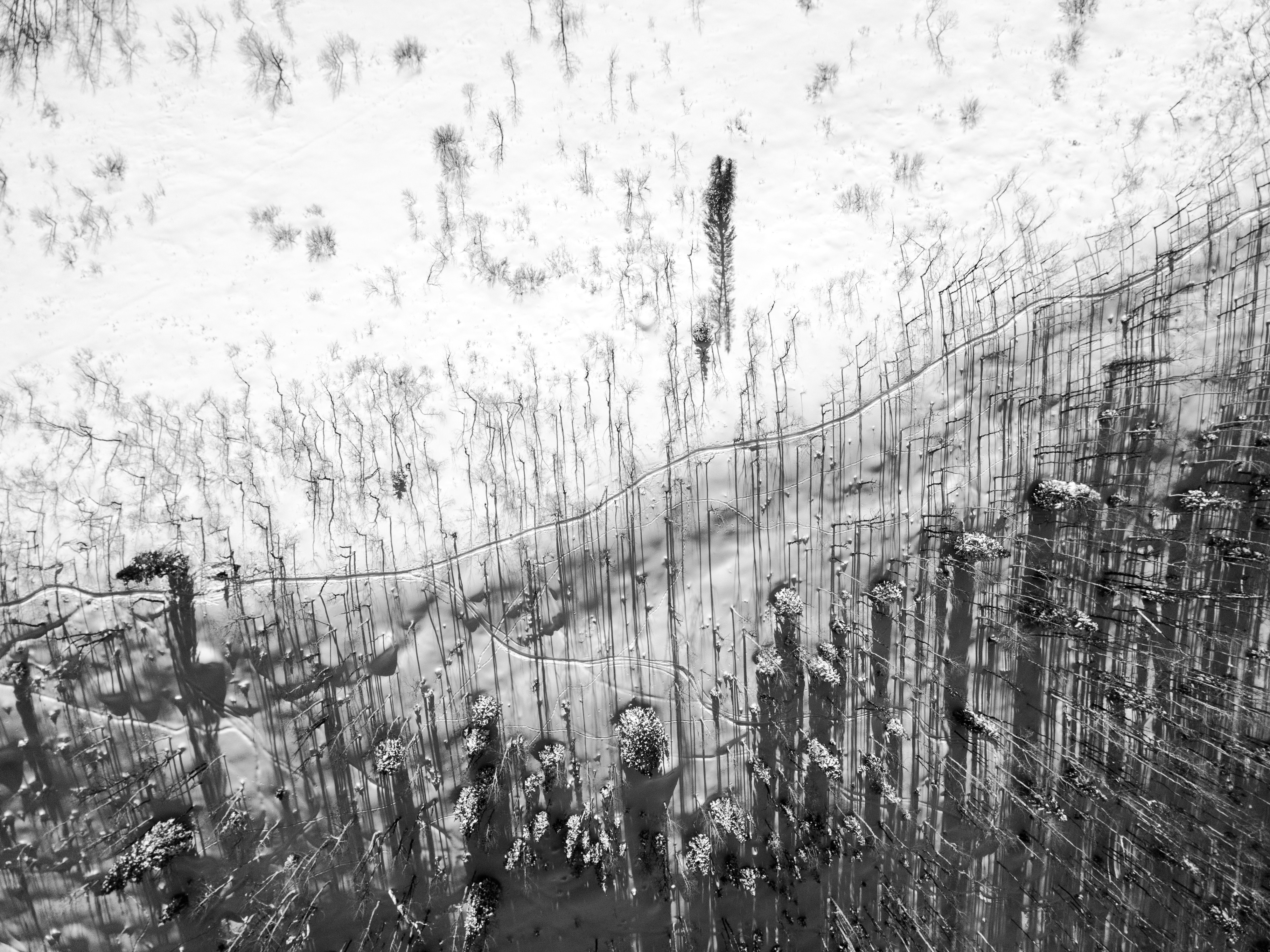 Photo by chrisholder