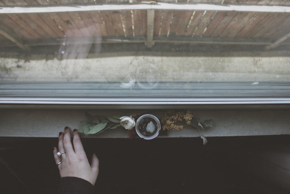 person in front of flowers and window during daytime