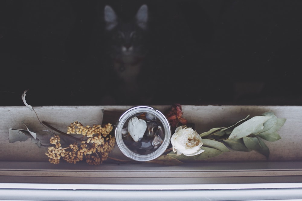 photo of white pot with flower beside window