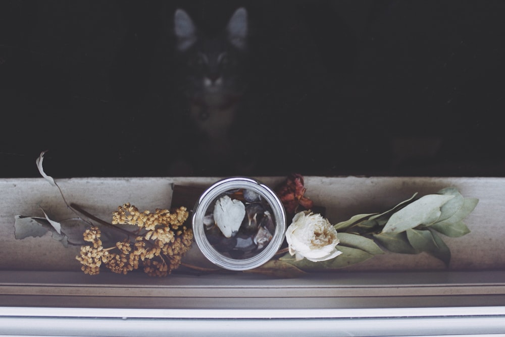 Foto eines weißen Topfes mit Blume neben dem Fenster