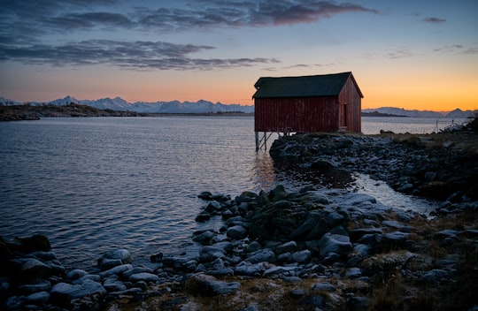 red and green house with body of water under blue sky during daytime in Bø i Vesterålen Norway