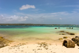 A serene beach scene with clear turquoise water gently transitioning to deeper blue. The foreground features light sand scattered with rocks and some algae. A lone small boat is moored near the shore, and two circular red buoys float on the water further back. The horizon shows a strip of green land under a bright blue sky sprinkled with fluffy clouds.