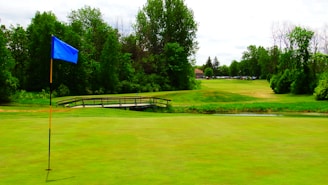 A lush green golf course featuring well-maintained grass and surrounded by trees. A blue flag is prominently positioned on the green, marking a hole. In the background, a wooden bridge spans a small water hazard. The scene is peaceful and appears well-kept.