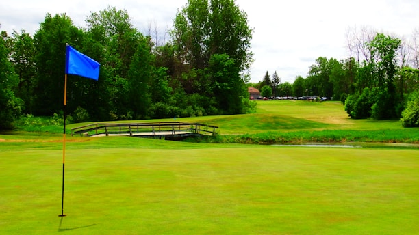 A lush green golf course featuring well-maintained grass and surrounded by trees. A blue flag is prominently positioned on the green, marking a hole. In the background, a wooden bridge spans a small water hazard. The scene is peaceful and appears well-kept.