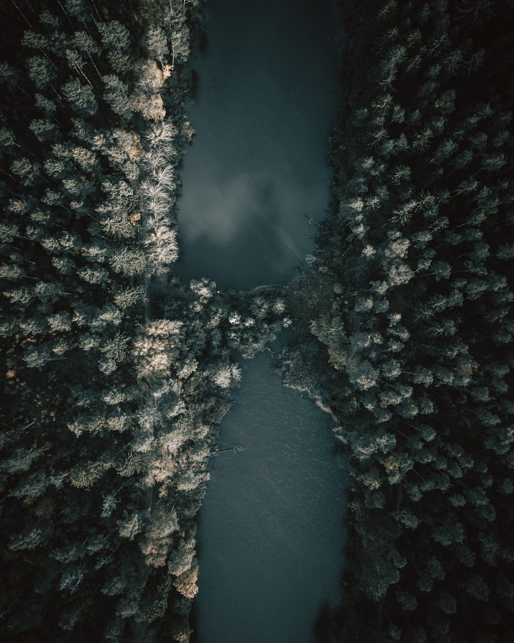 Luftaufnahme des grünen Sees, umgeben von Bäumen