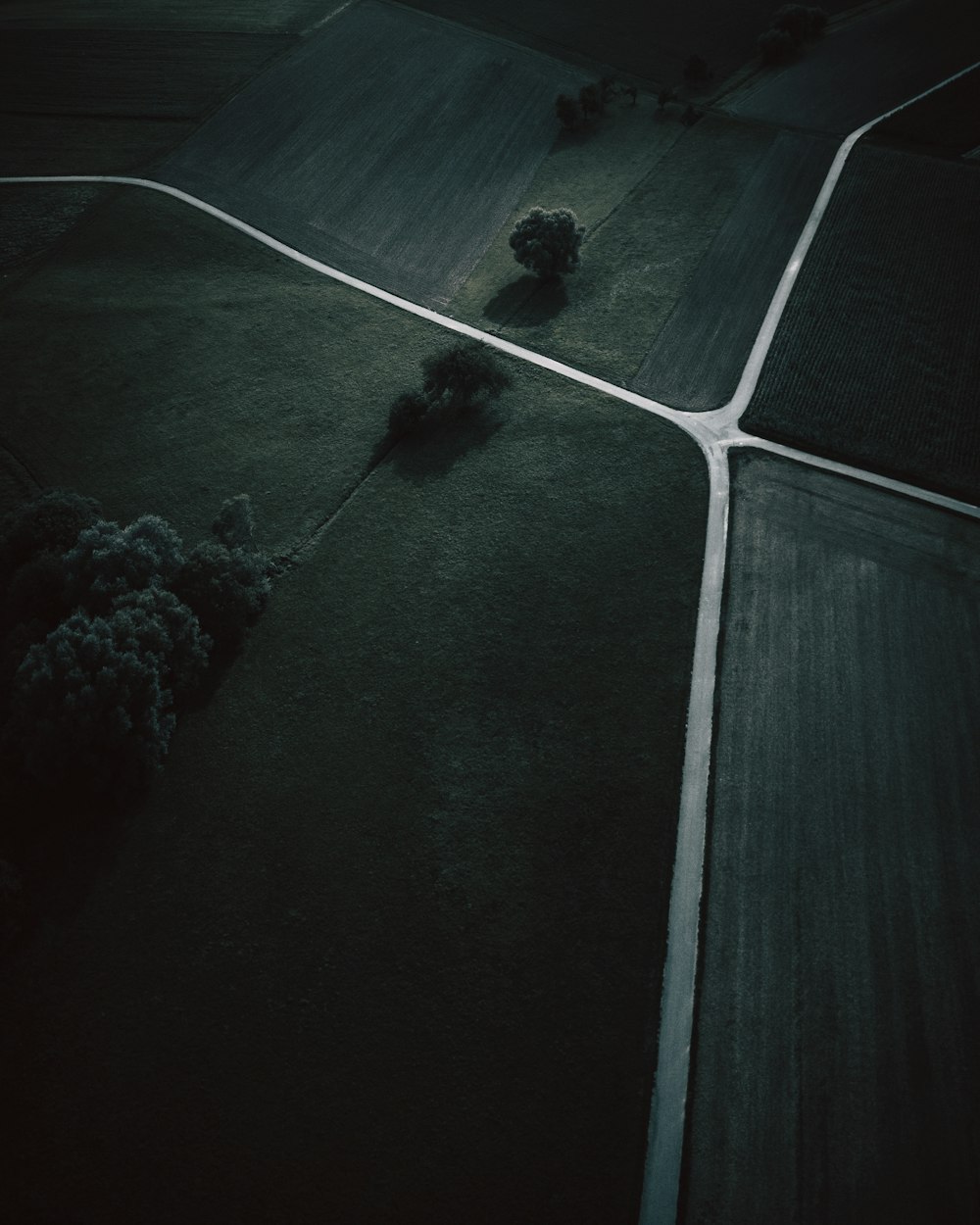 bird's eye view photo of green trees