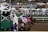 A group of jockeys on horseback are racing out of the starting gate on a dirt track. The horses and riders are adorned in colorful racing gear, and the scene is bustling with energy. In the background, a crowd of spectators watches from behind a fence, alongside tents and a fountain.
