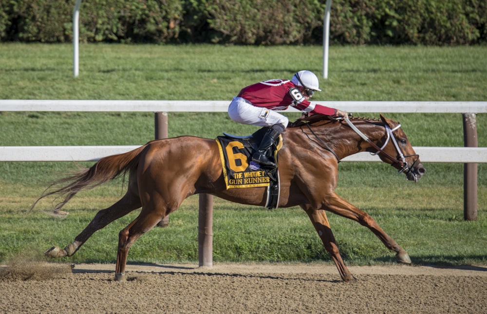 Jockey riding horse