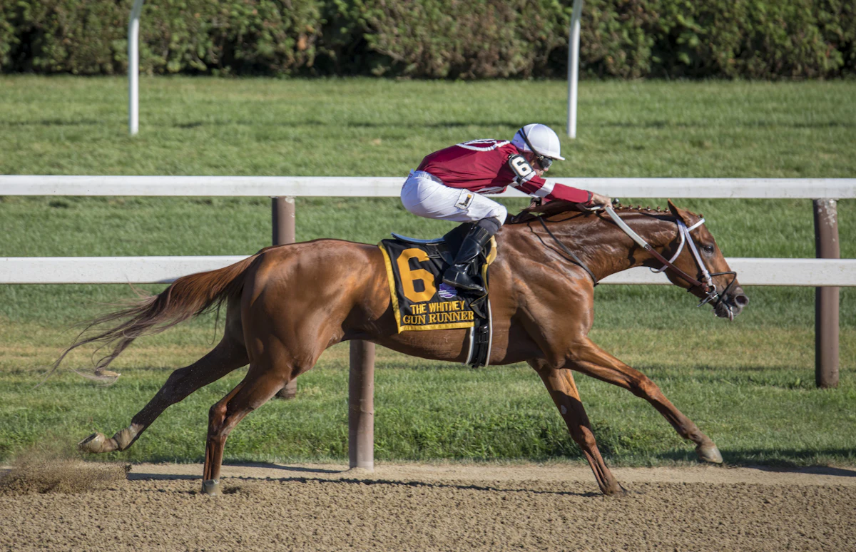 Kentucky Derby 2026 thoroughbred horse and jockey on the racetrack
