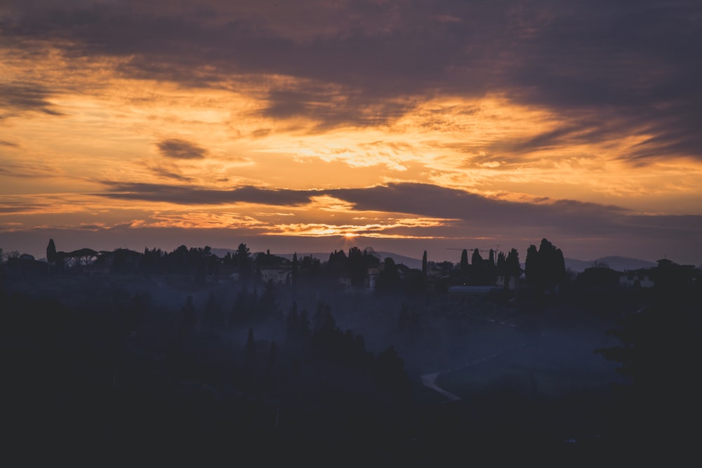 aerial view photography of trees with fogs