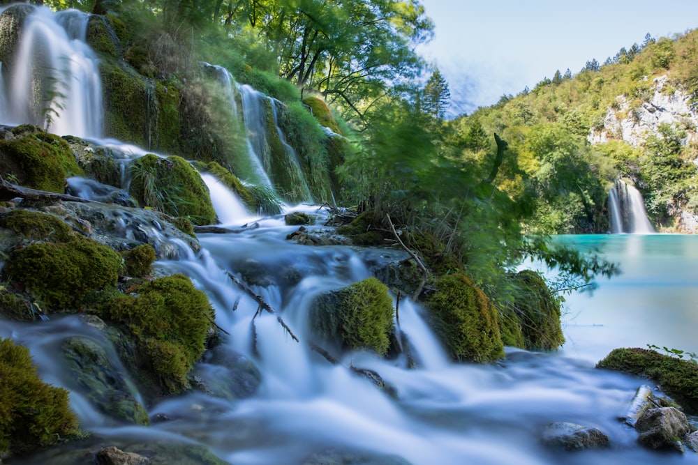 waterfalls surrounded trees