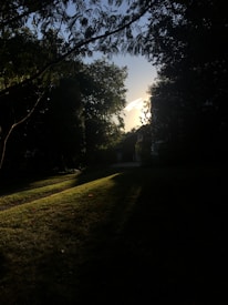 A serene outdoor setting with gentle sunlight filtering through trees, inviting calm conversations.