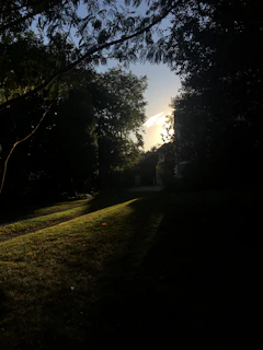 A serene outdoor setting with a candidate practicing group tasks under soft golden sunlight.