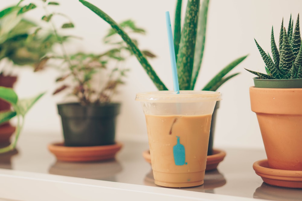 shallow focus photography of disposable cup beside plants