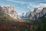 A serene view of Yosemite Valley with towering granite cliffs and lush greenery.
