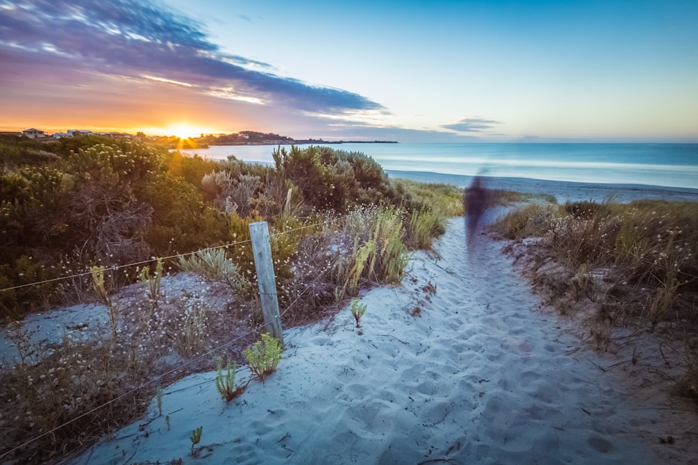 person walking on white sand