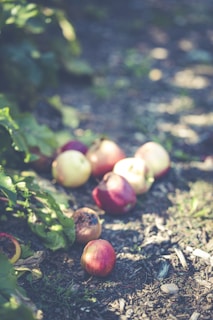 red apples on ground