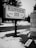 A black and white photograph featuring a sign reading 'Happiness Inn' at Niagara Falls, with words 'Secluded' and 'Serene' also visible. The area is covered in snow with patches of grass, and a 'Vacancy' sign lies on the ground near a paved road.