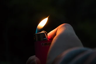 Close-up of hands holding a small, vibrant flame against a blurred natural background.