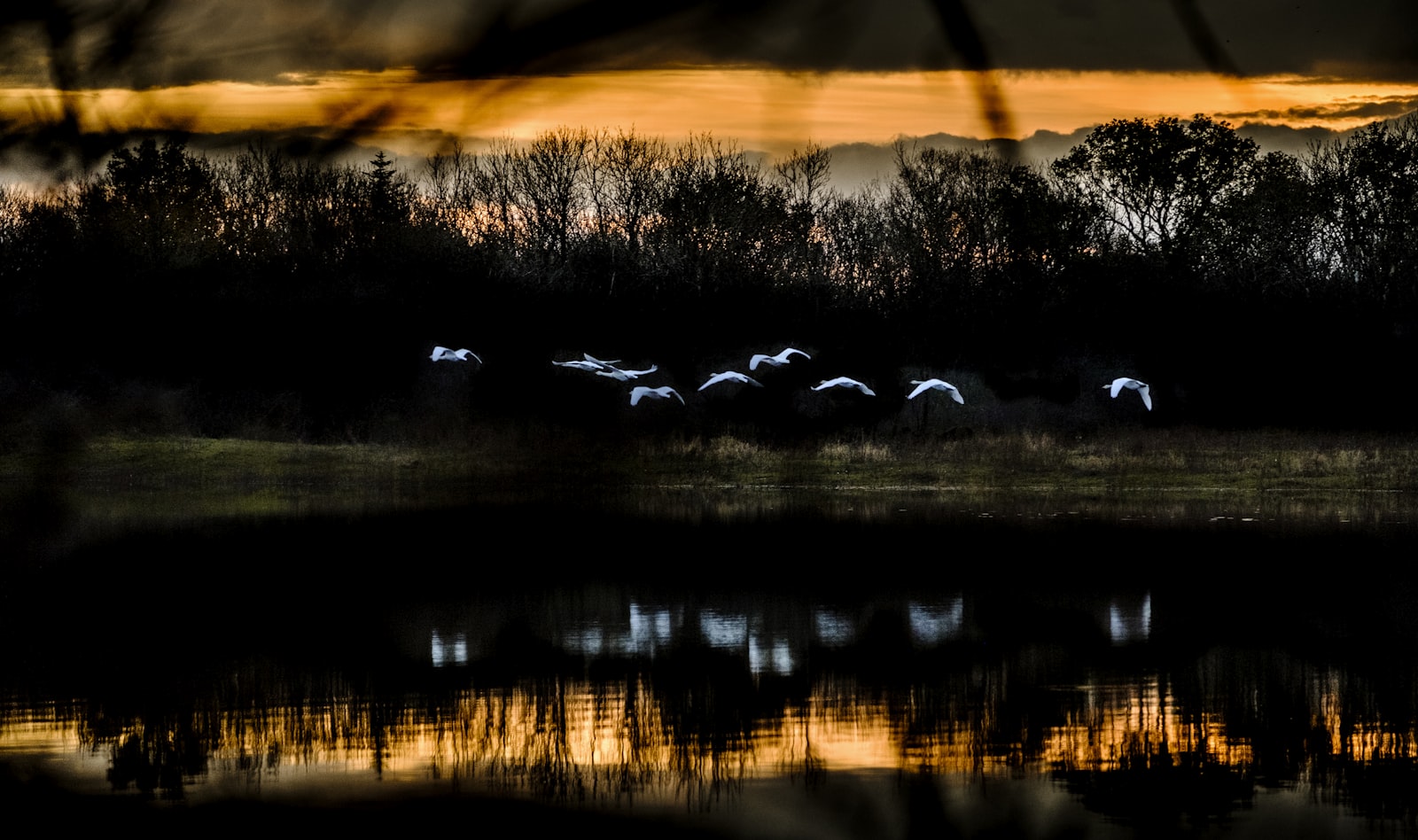 Fujifilm XF 50-140mm F2.8 R LM OIS WR sample photo. Flying birds near body photography