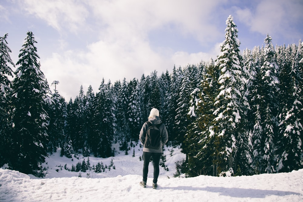 person wearing backpack and facing at trees covered by snow