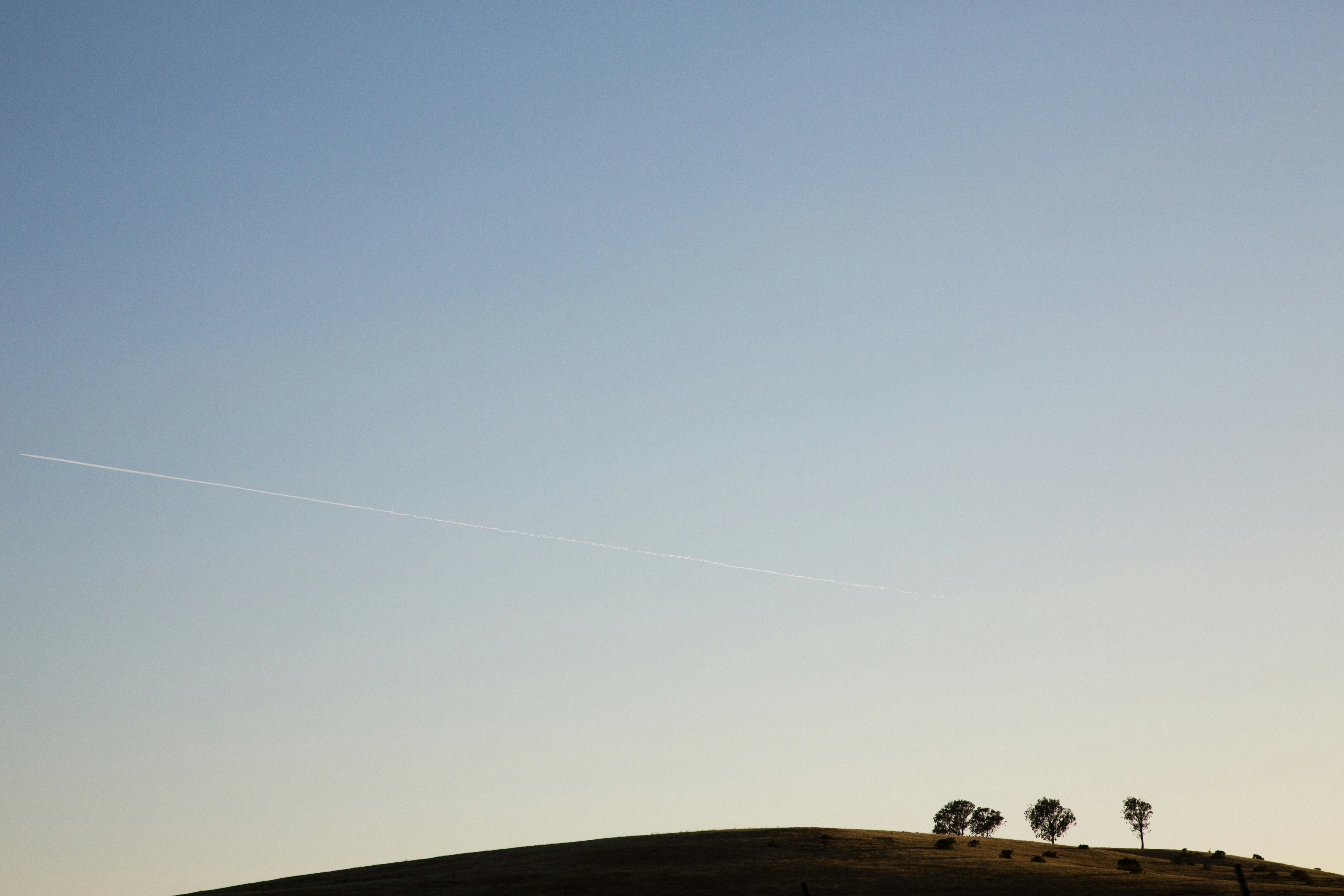 silhouette of trees under clear blue sky, 