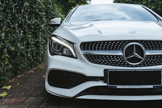 A luxury car with a sleek design, featuring a prominent grille and distinctive headlight. The vehicle is parked on a brick driveway, surrounded by lush greenery on one side.