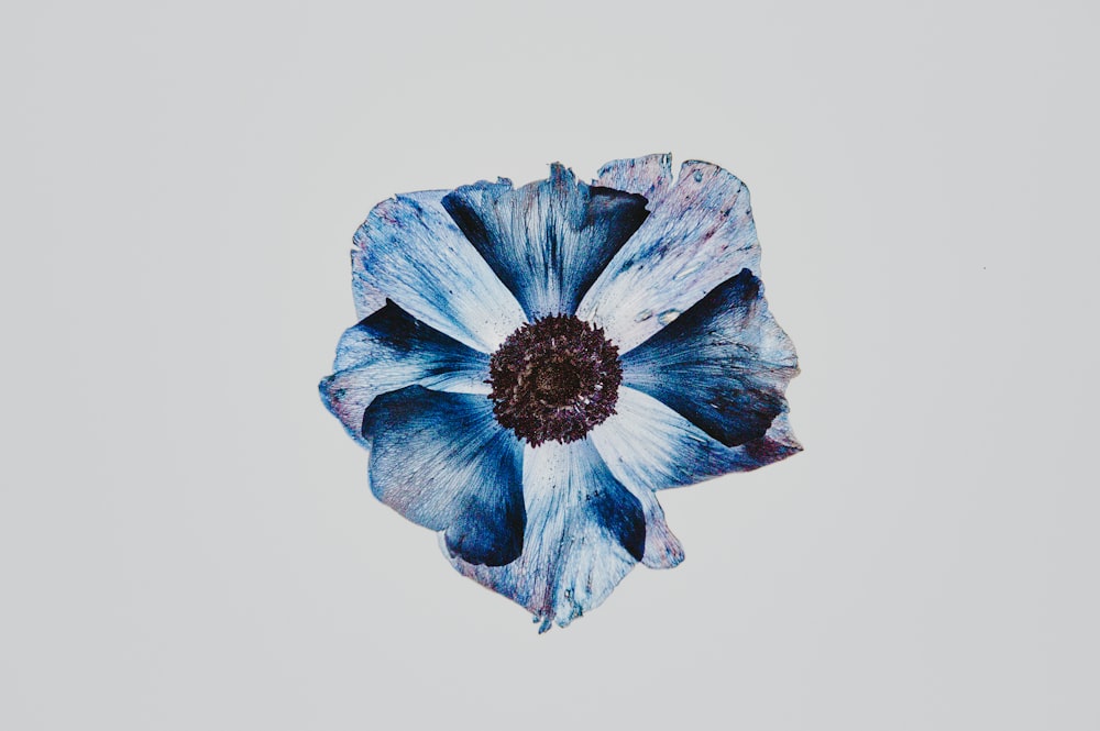 Cuadro abstracto de flor azul