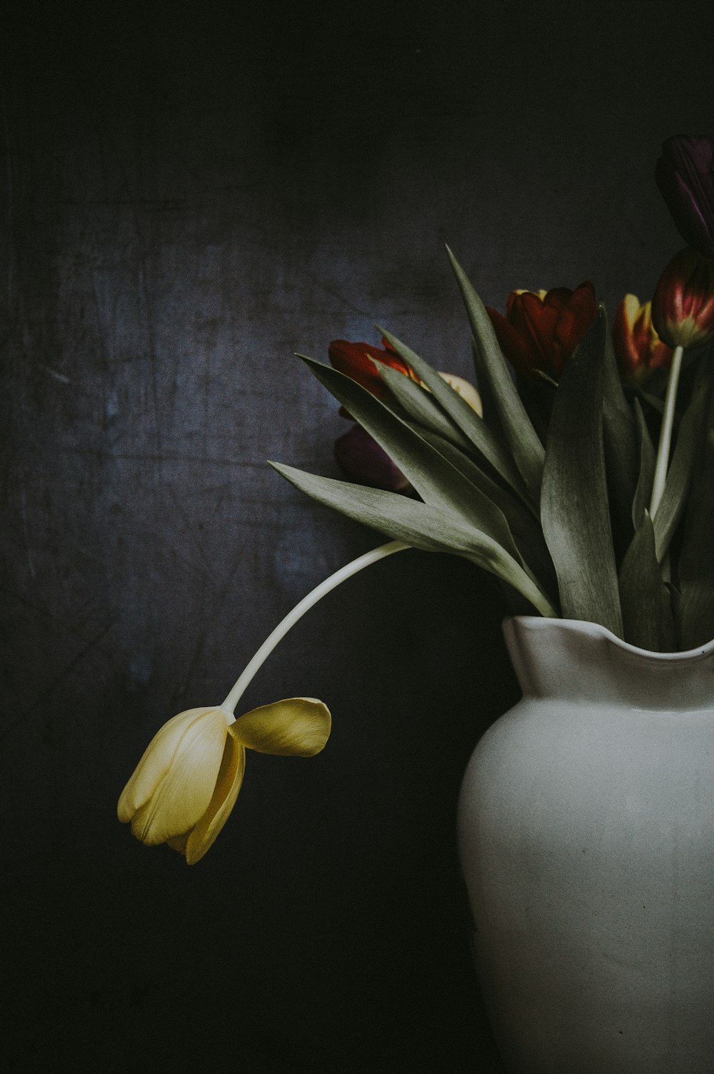 赤と黄色のチューリップの花、壁の近くの花瓶