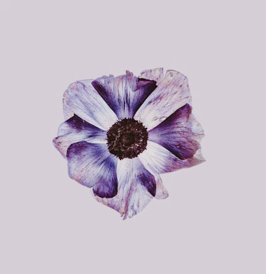 purple flower