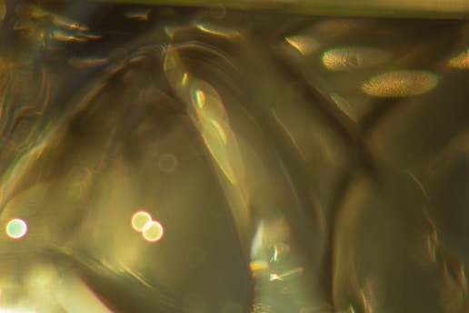 Close-up of a photographer capturing abstract shapes in natural light.