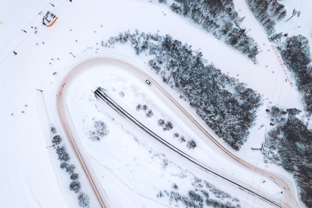 aerial view of trees covered by snow
