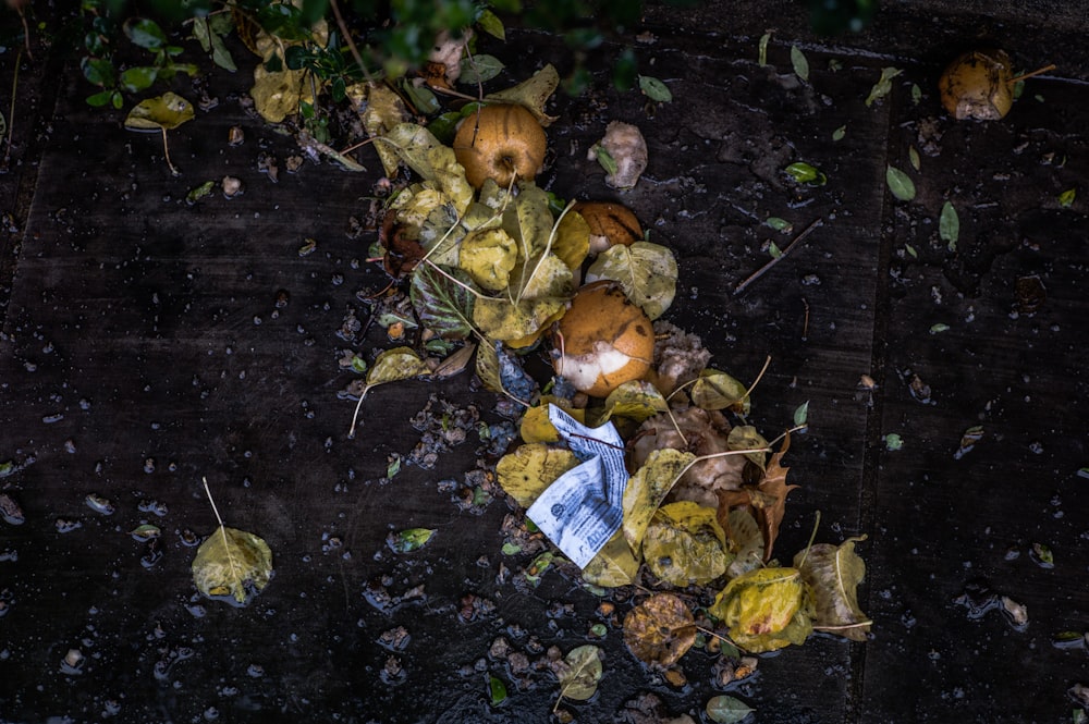 foto de folhas e frutos na superfície preta