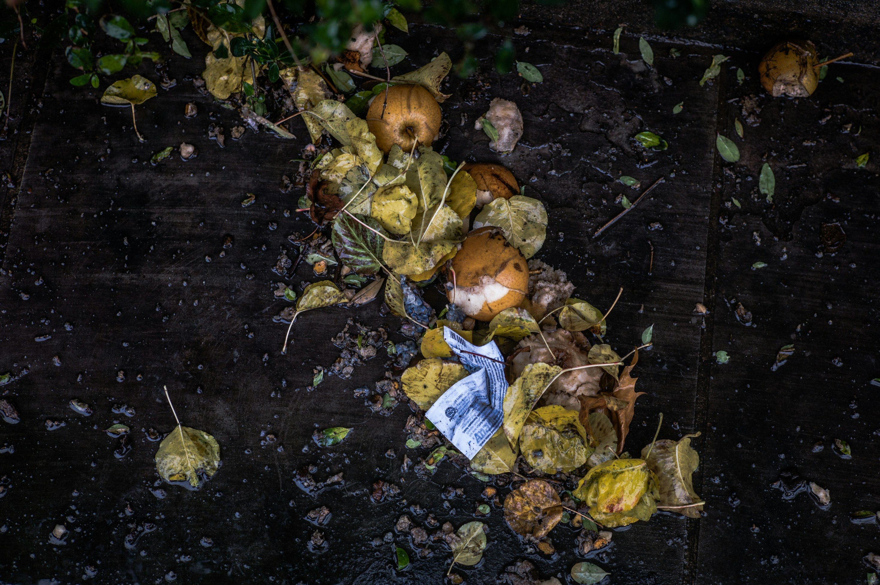 Hagelschaden Ankauf Bochum