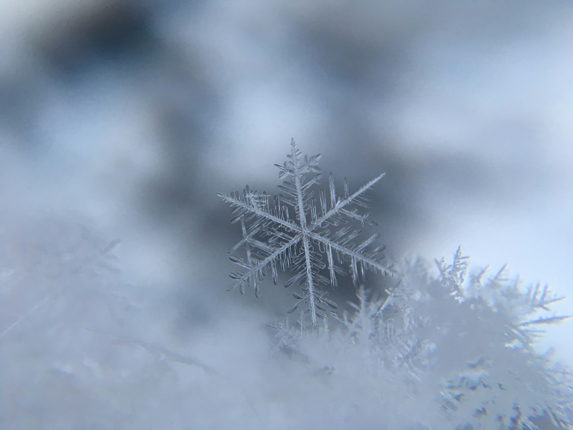 The Perfect Snowflake