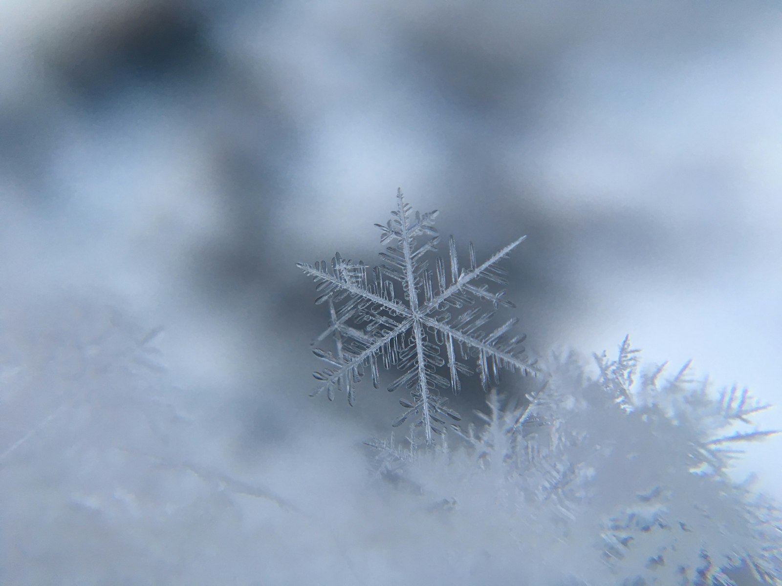 雪の日の家族ドライブを表す写真調イメージ
