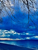 A shoreline with a vast, dynamic sky featuring dramatic clouds and sun rays breaking through. Bare tree branches stretch overhead, creating a stark contrast against the vibrant blues. The water reflects the moody atmosphere, and a person is seen walking along the beach.