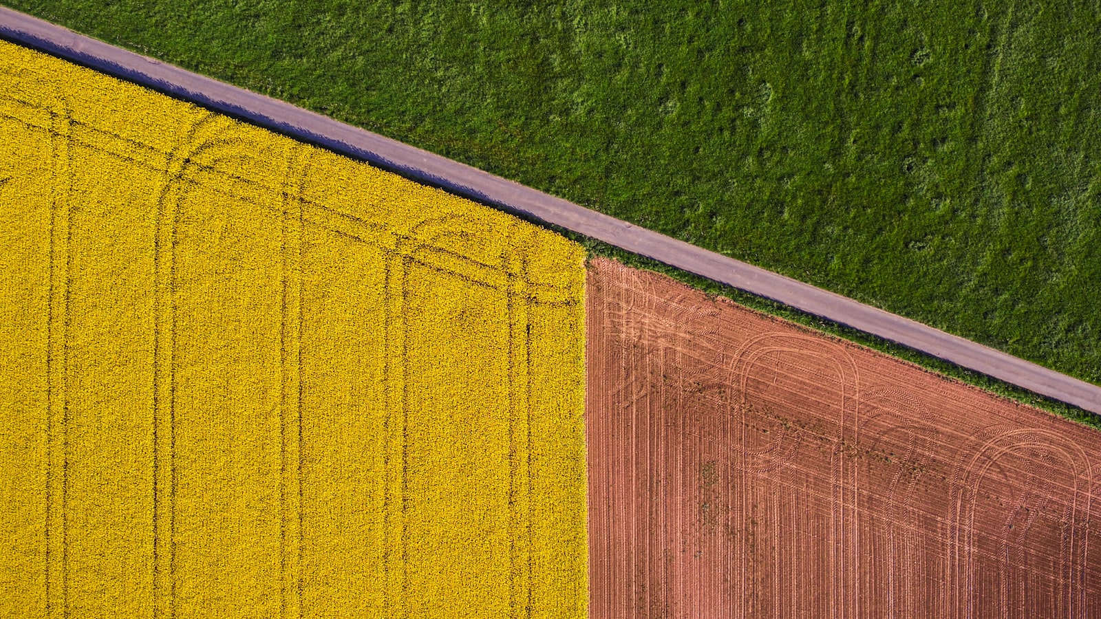 DJI FC550 sample photo. Yellow and brown textile photography