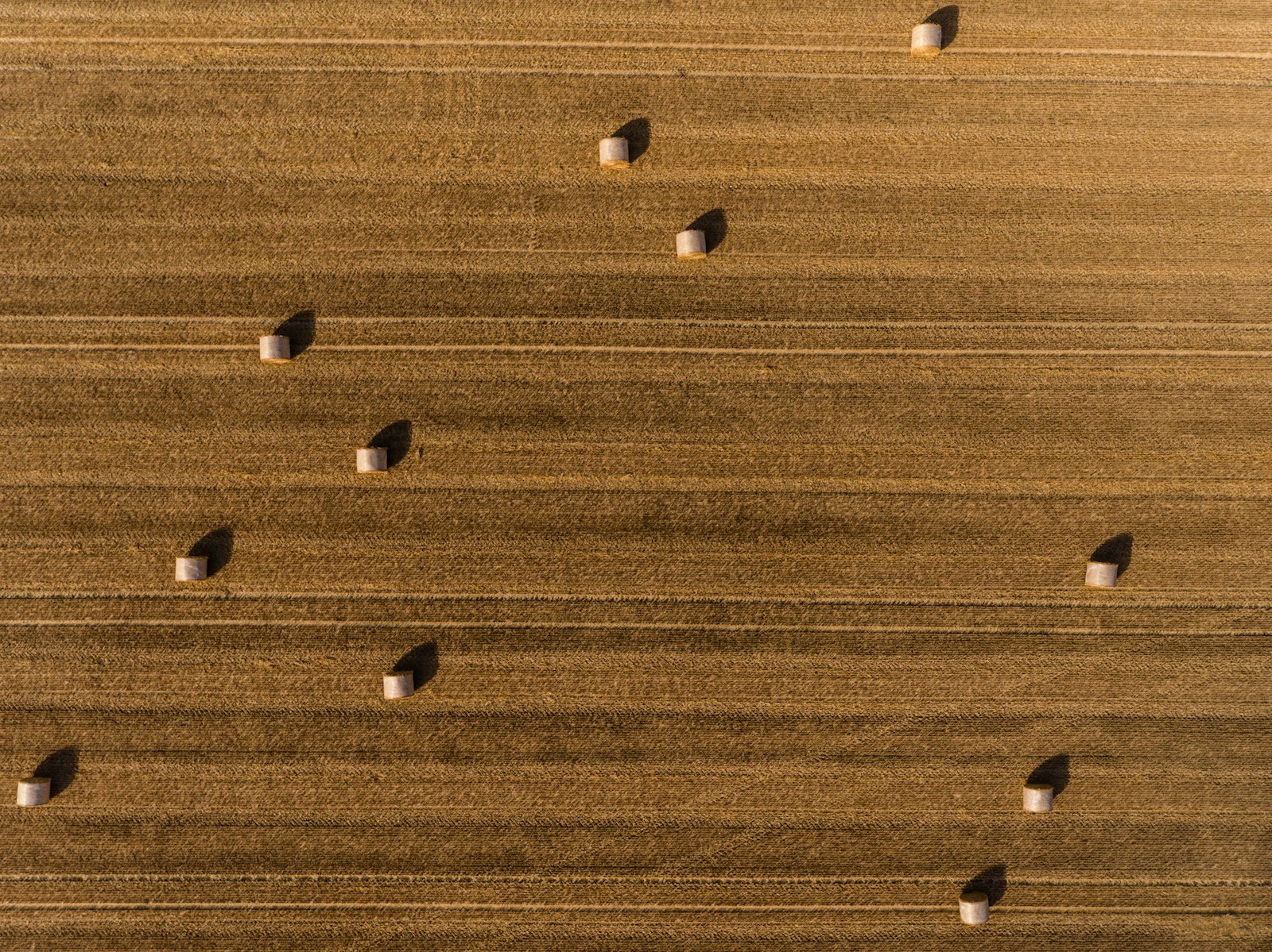 DJI FC550 sample photo. Aerial photography of hays photography