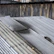 A series of corrugated metal sheets form a rooftop with visible aging and weathering. The metal sheets have patches of rust and discoloration, and the edges appear worn. In the background, a wooden fence adds texture with its vertical planks and varying shades of brown. Some debris, possibly rocks or dirt, is scattered on the rooftop.