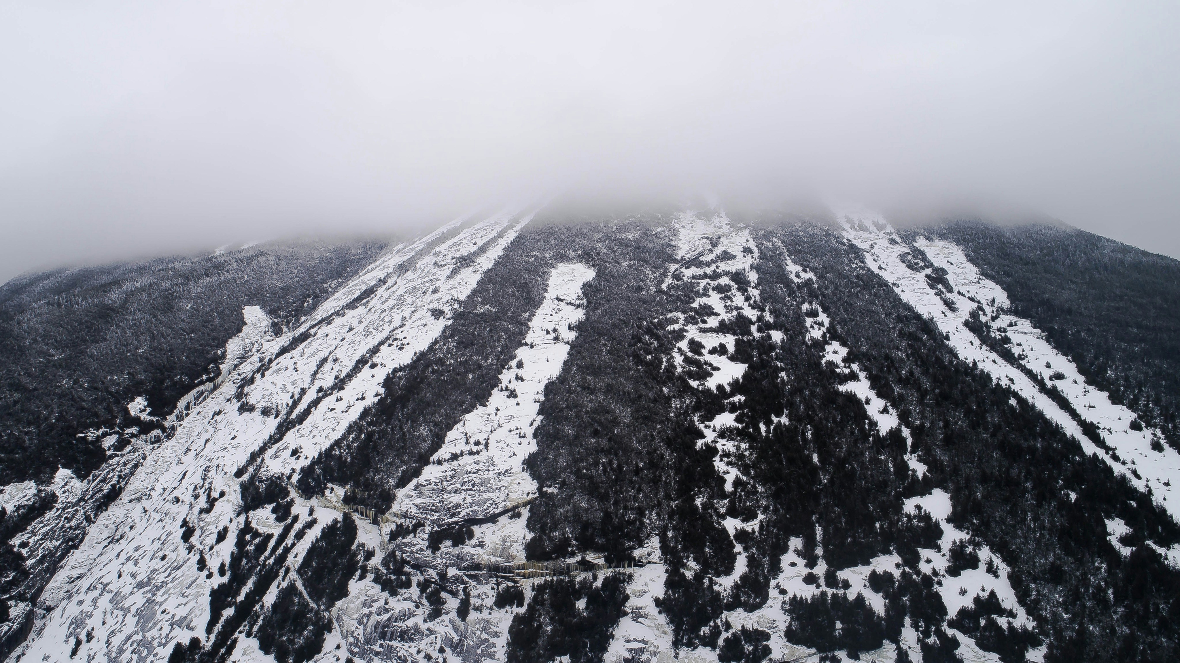 Photo by balazsbusznyak