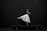 A ballet dancer balances gracefully on pointe with one leg extended behind her. She wears a flowing tutu and a fitted bodice against a dark, minimalist backdrop.