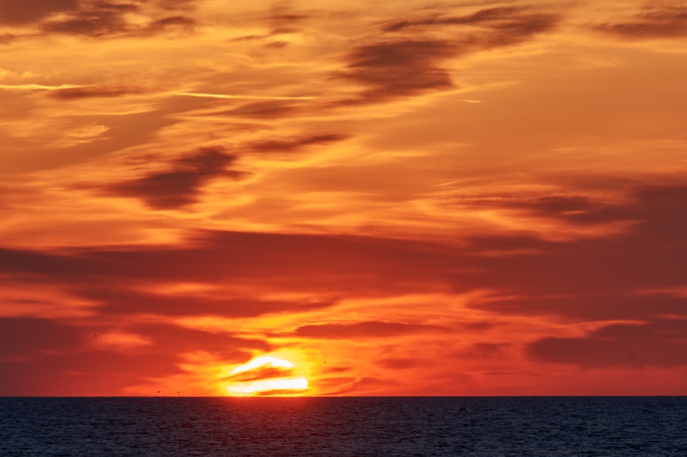 photograph of sea during golden hour