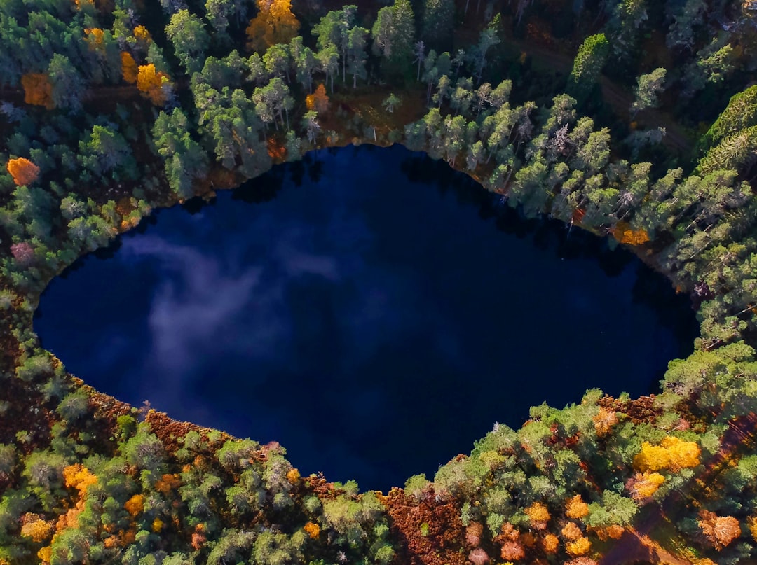 aerial view photography of lake surrounded by trees during daytime