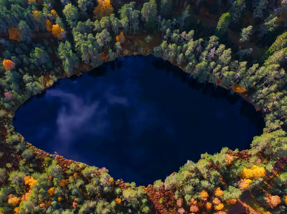 aerial view photography of lake surrounded by trees during daytime