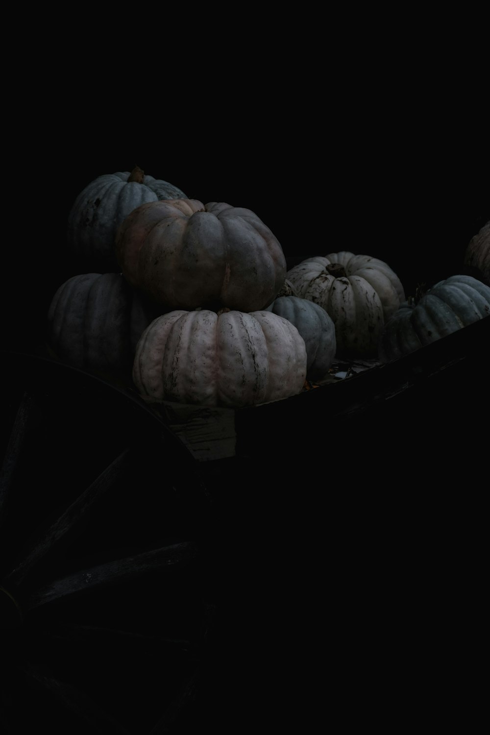 squashes on black basket