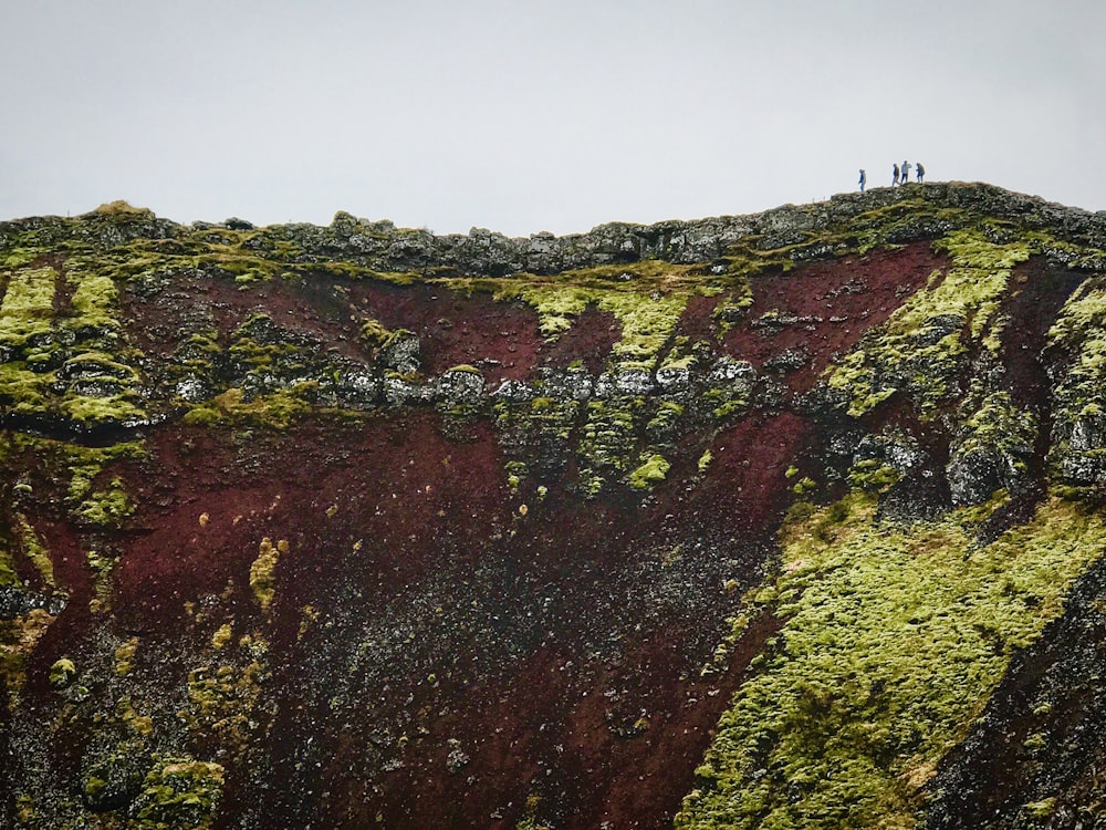 landscape photography of summit